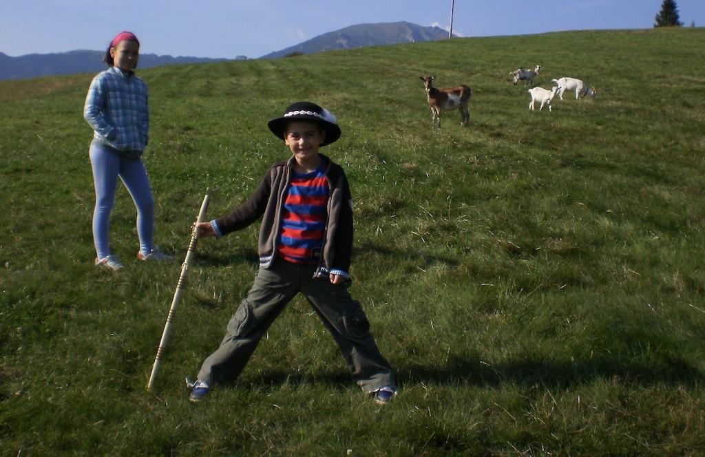 Penzion Deny Ždiar Exteriör bild